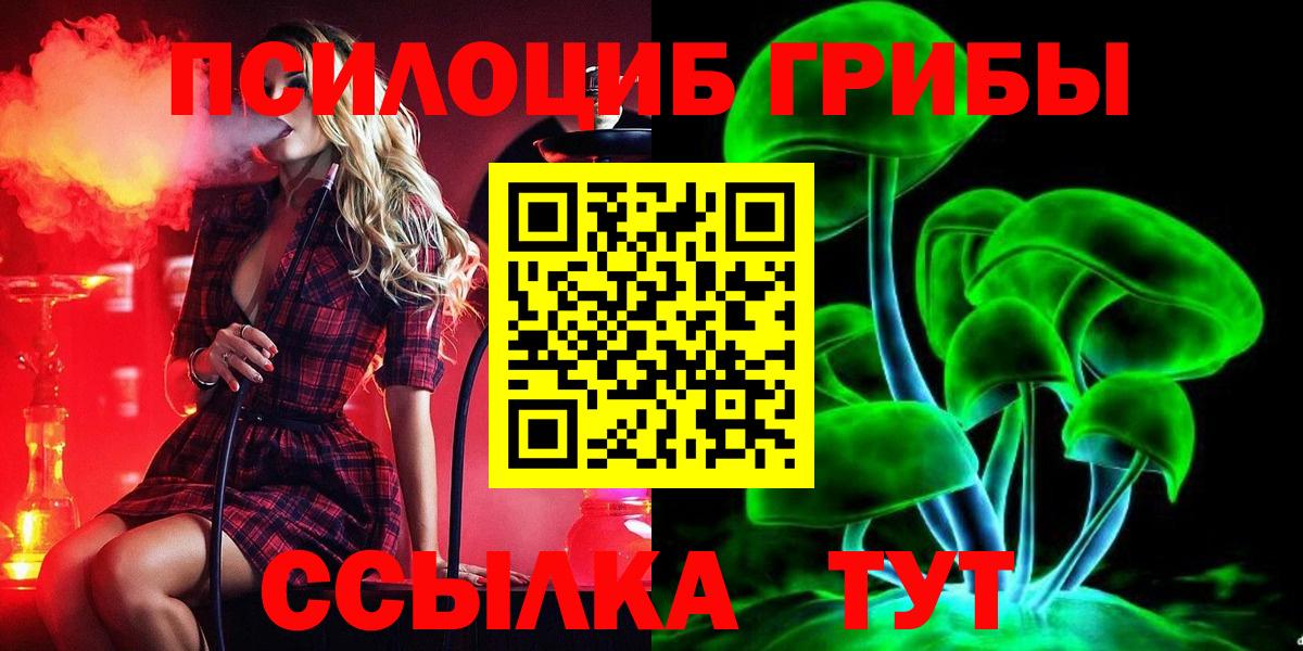 Галлюциногенные грибы Cubensis Канаш