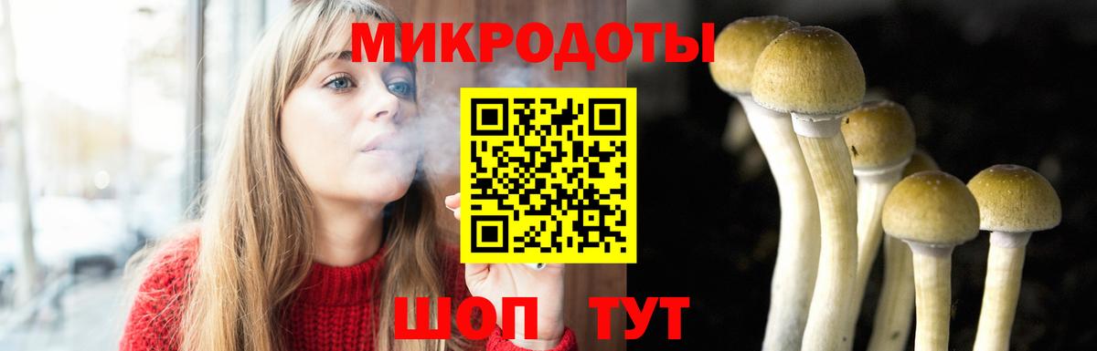 Псилоцибиновые грибы мухоморы  Вход с VPN  Канаш  Псилоцибиновые грибы мухоморы 